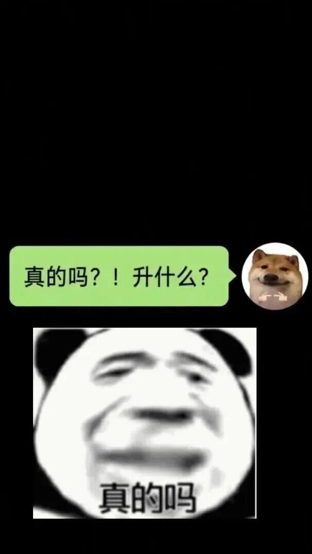 做了个微信聊天爆款视频 Skill， Codex / WorkBuddy一键复刻使用